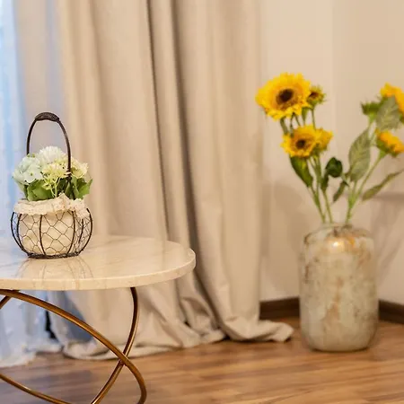 Spacious 3 5* Mansion Near Muzeului Square. Free Parking * Клуж-Напока