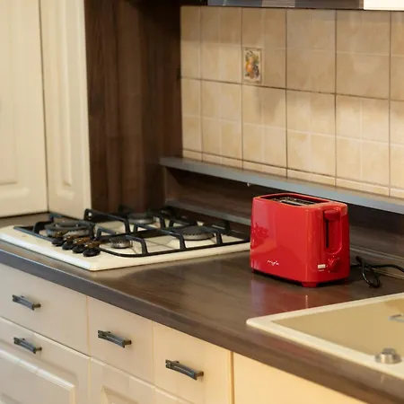 Spacious 3 5* Mansion Near Muzeului Square. Free Parking Апартаменти *